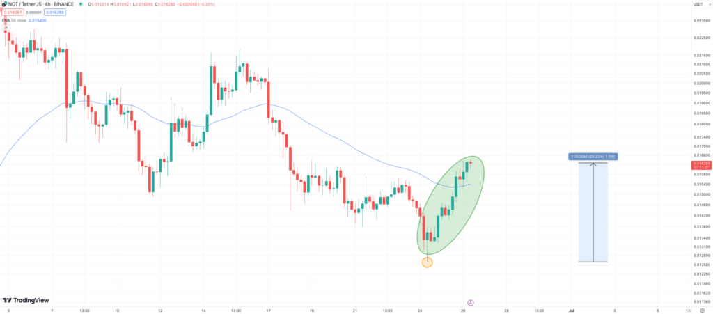 Notcoin price is rising again;  PlayDoge could be the next P2E token to pump - 1