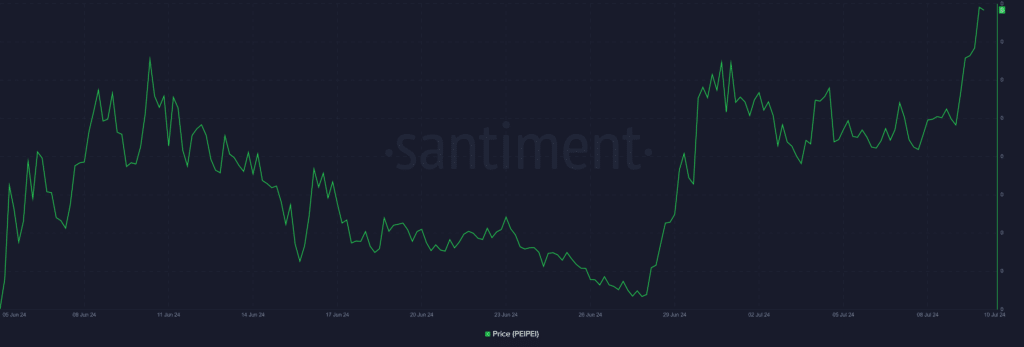 Memecoin PeiPei emerges the top gainer among the leading 500 - 1