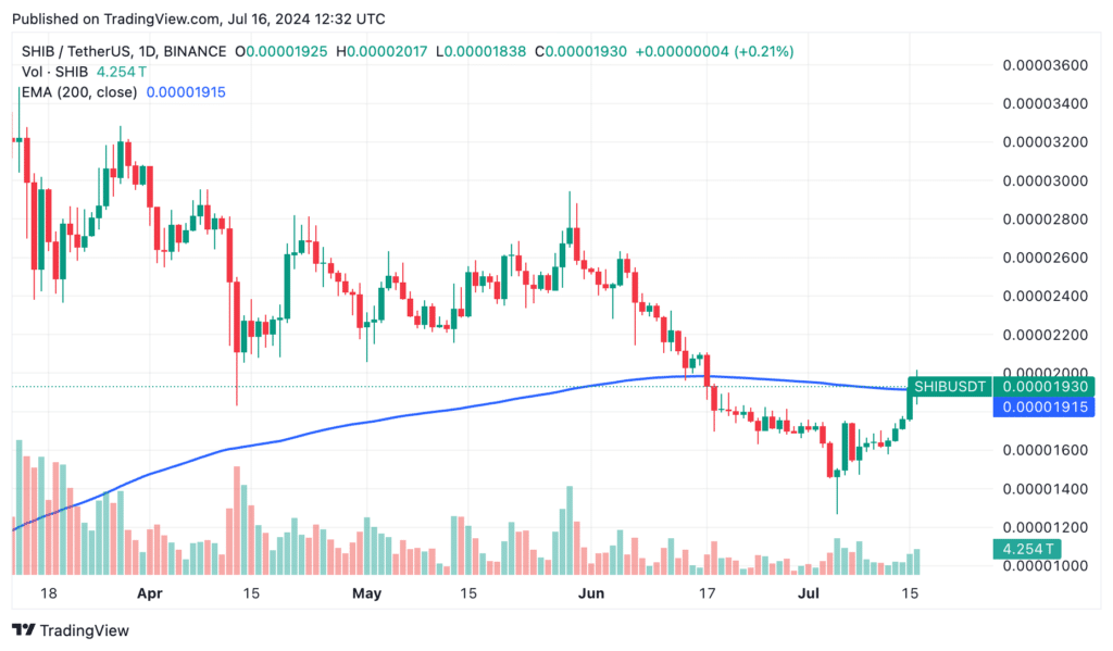 Shiba Inu hits key price as SHIB token burn trend slows