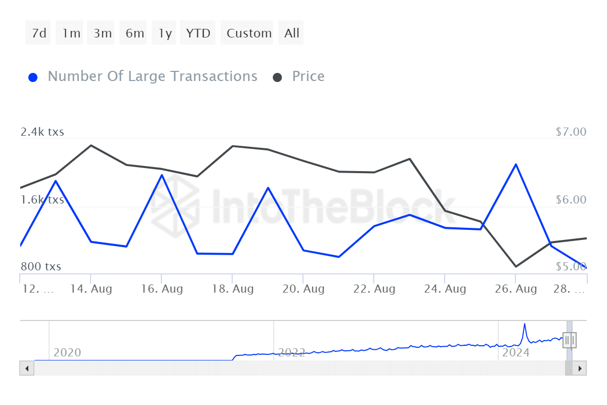 Toncoin становится бычьим, транзакции с китами сокращаются