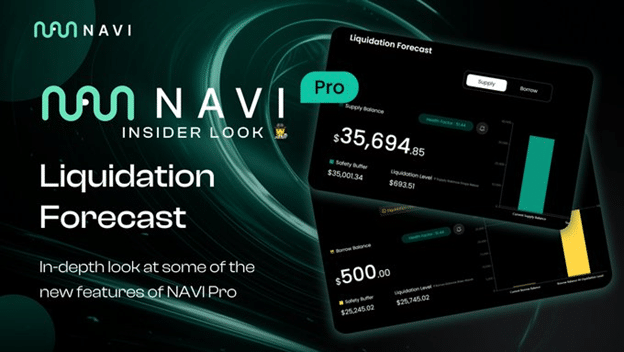 NAVI Pro launch: A new generation of liquidity management on Sui - 4