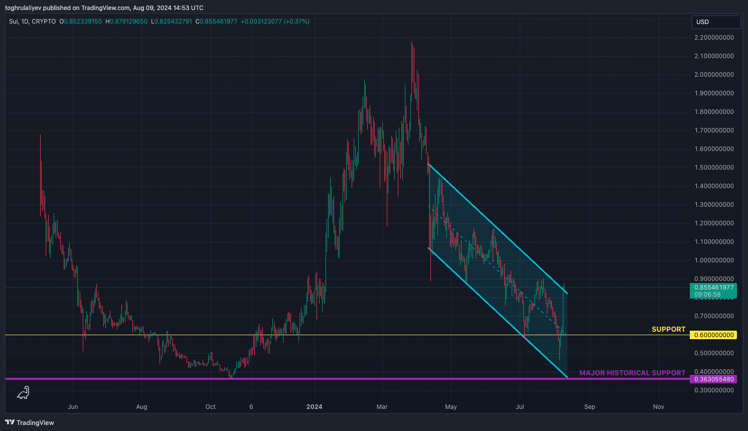 Chart of the week: Сloser look at SUI’s price action