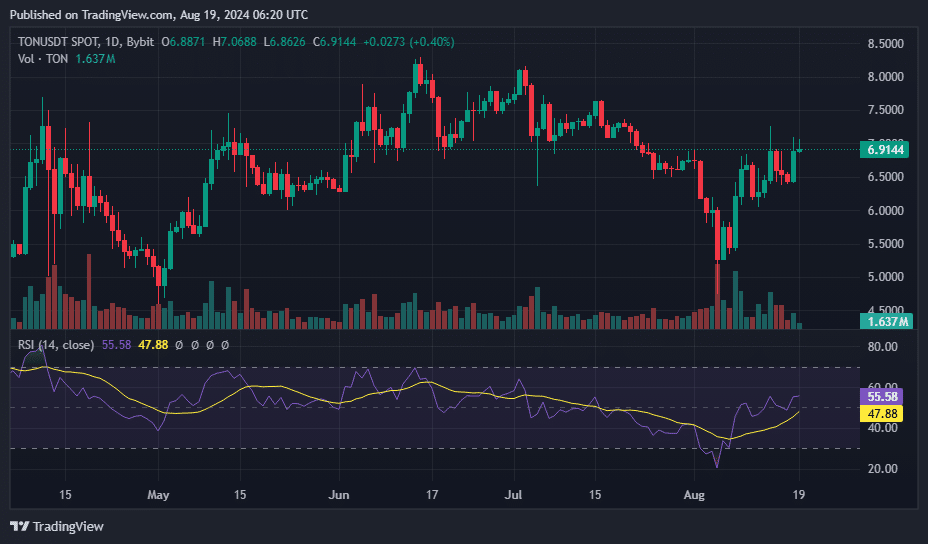 TON secures top gainer spot with 7% jump, but market signals caution ahead - 3