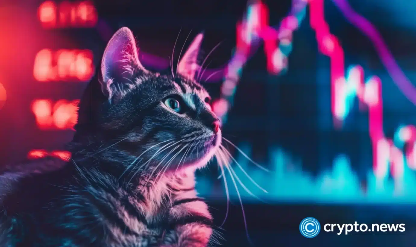 Smart money backs CatSlap as Popcat drops 9% – Binance or Coinbase listing awaits