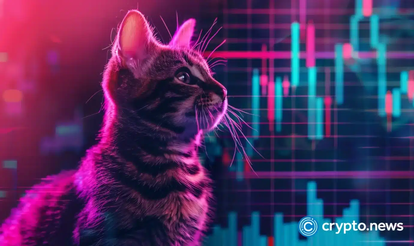 Popcat and MEW tokens rally as Solana DEX volume flips Ethereum