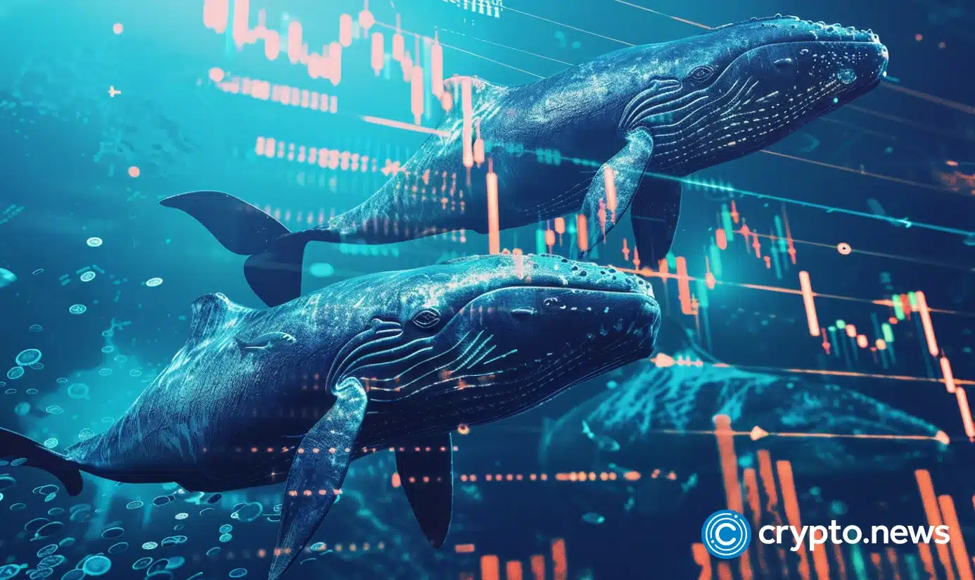 Crypto whales secretly accumulate these 4 coins for 5,000% gains