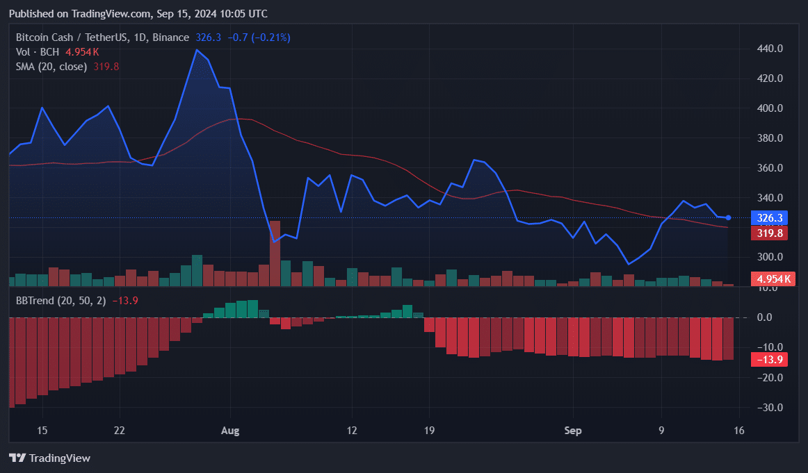 BCH, ELON, CKB: лучшие криптовалюты, за которыми стоит следить на этой неделе