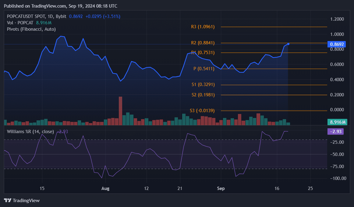 Popcat зафиксировал рост на 22%, смогут ли быки достичь отметки в 1 доллар?