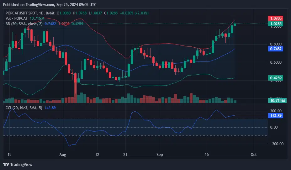 POPCAT Hits ATH as Market Cap Tops $1 Billion