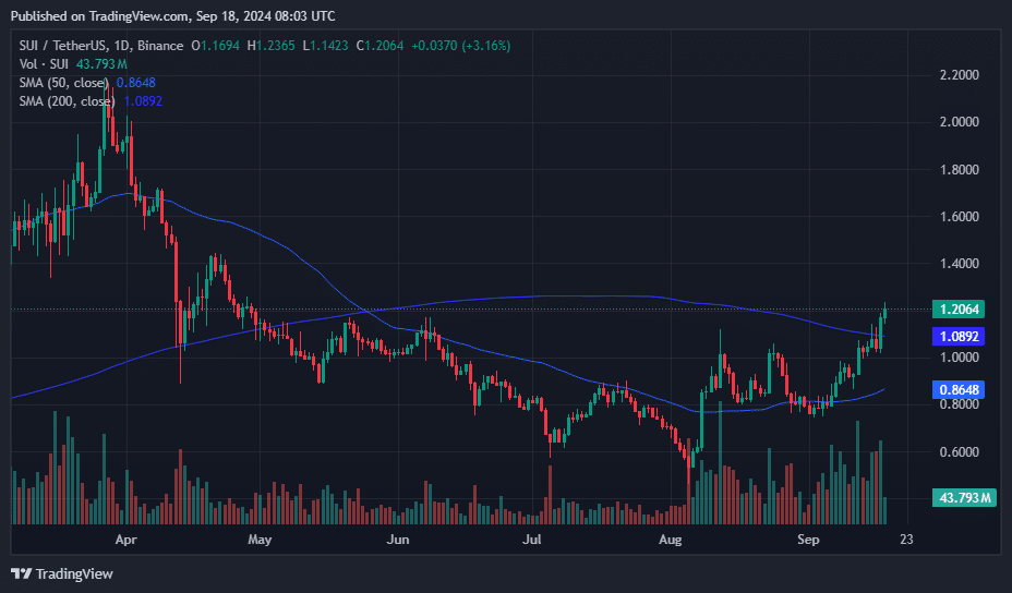 SUI hits six-month peak following USDC integration - 1