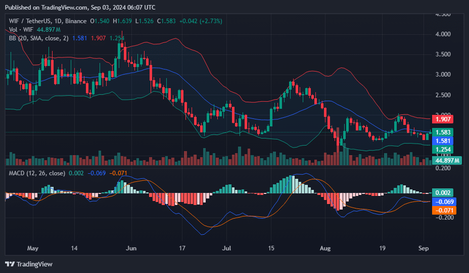 WIF leads Mimi Coin rally with 12% increase - 2