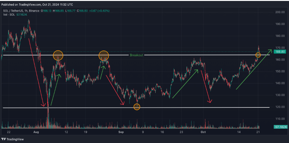 SOL and XRP are set for a 2025 breakout, potentially jumping 2,000% and 900% - 1