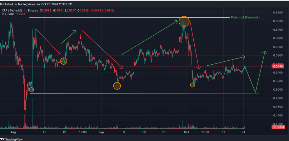 SOL and XRP are set for a 2025 breakout, potentially jumping 2,000% and 900% - 2