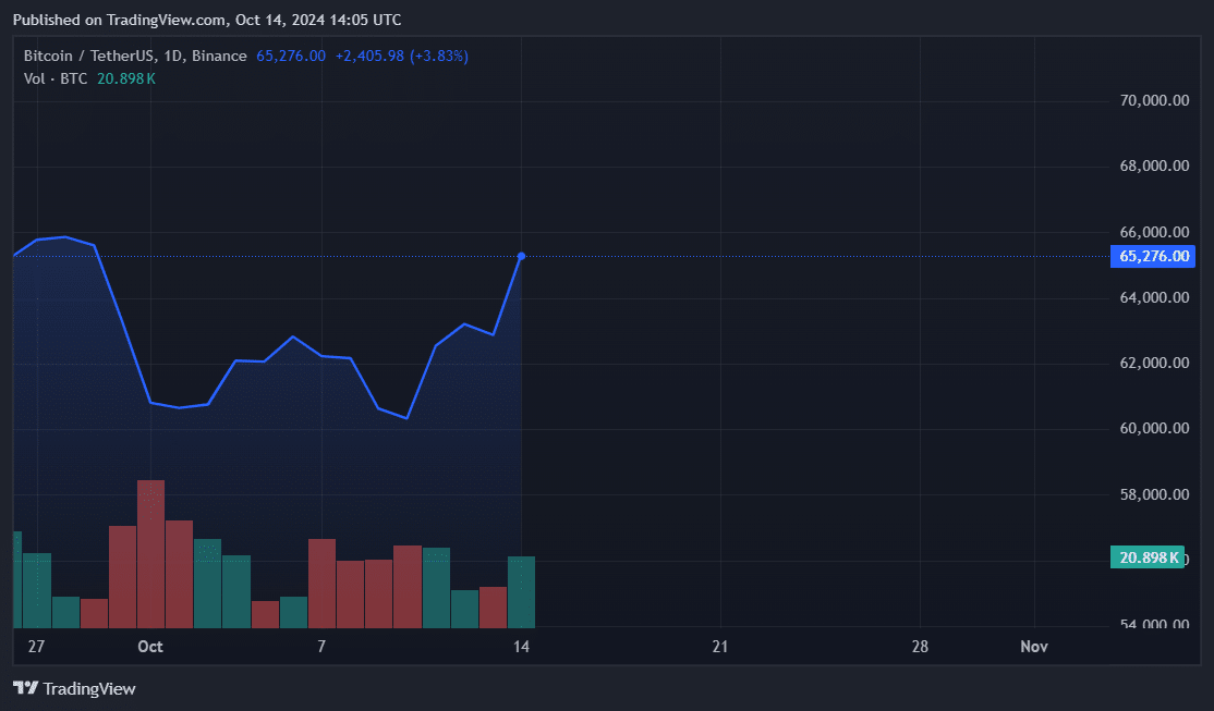 Bitcoin daily price chart