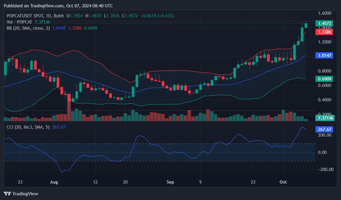 POPCAT hits new ATH with 19% surge despite mixed signals - 1