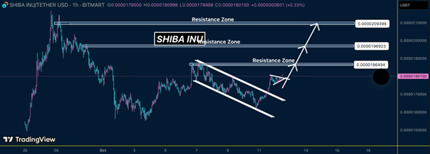 Expert analysis of how SHIB, BONK, and Cutoshi are shaping crypto trading today - 1