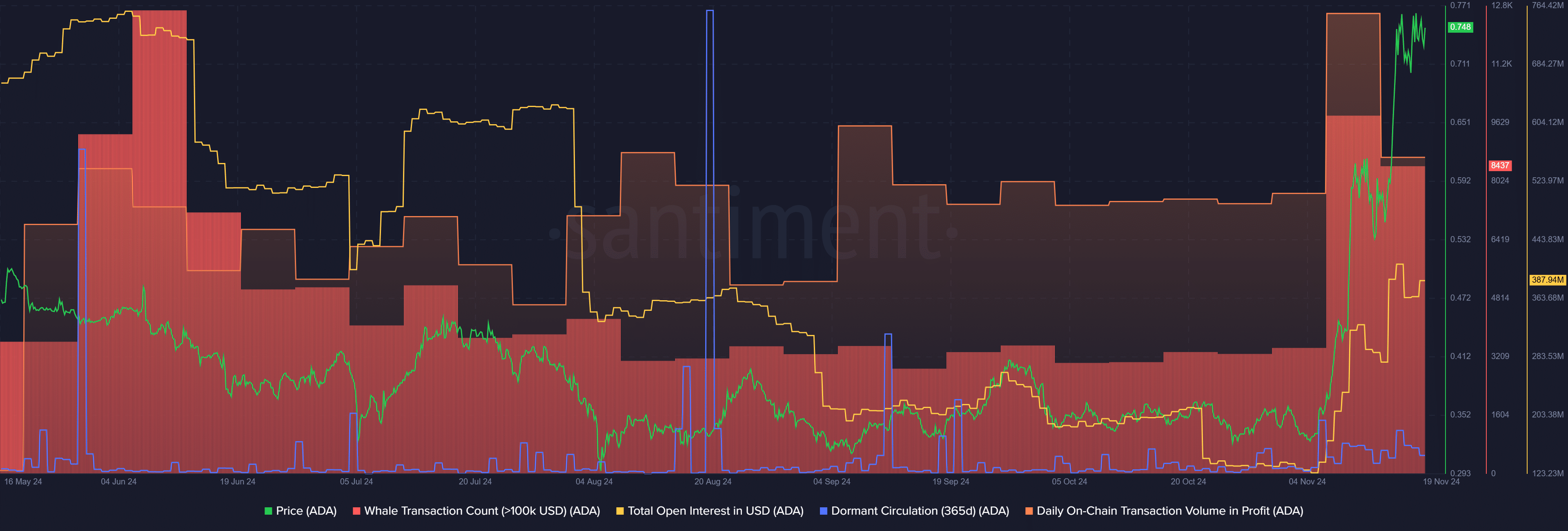 Cardano’s rally continues with 5-month high whale transactions