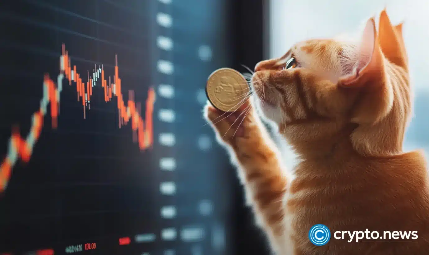 Meme coin Catslap rallies 46% after slap-to-earn and token burn announcements