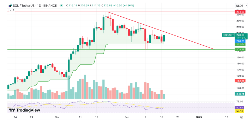 Solana's 2025 price prediction: Poised to reach $300 - 2