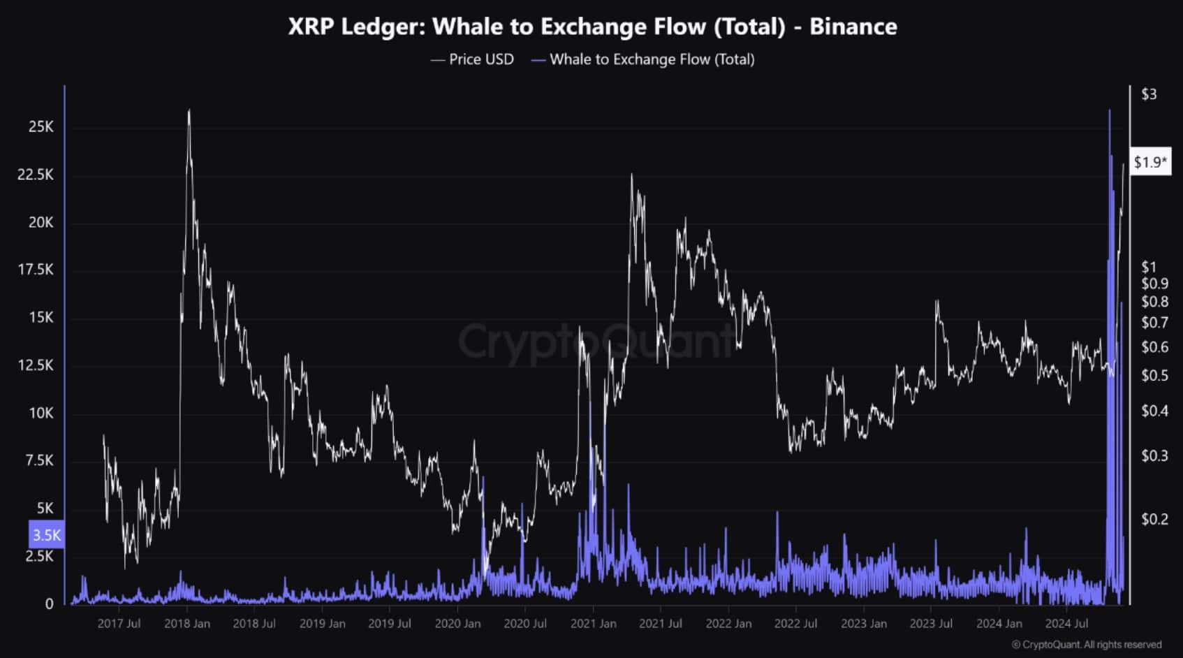 XRP Whales are buying