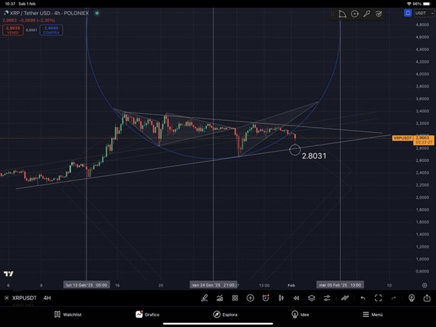 XRP's popularity women; Yeti Crypto achieves profit speed in the market - 2