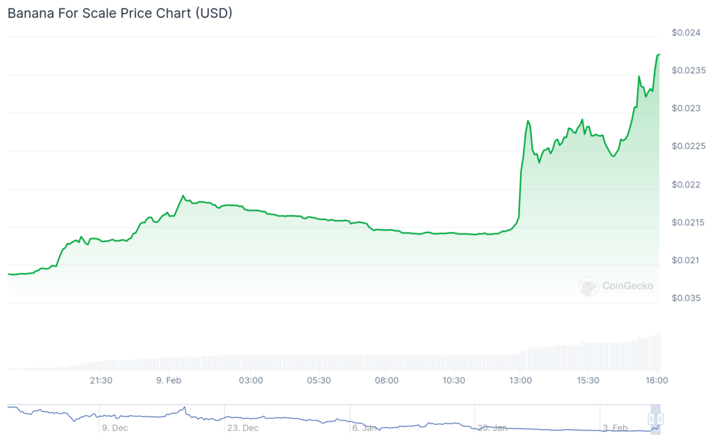 BANANAS31 and ANDY surge triple digits, BTC struggles at $96,000: Here's why - 1