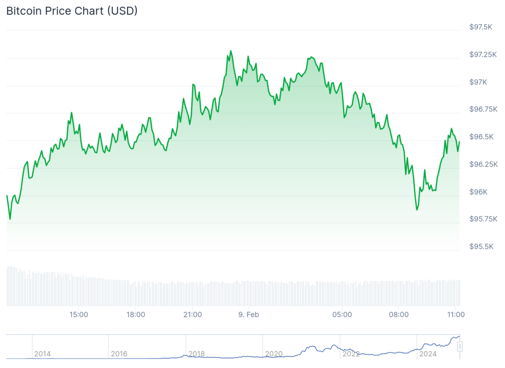 BANANAS31 and ANDY surge triple digits, BTC struggles at $96,000: Here's why - 3