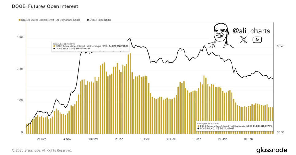 14% decrease in the dogs of open interest raises concerns; What is Doge owners drive on a new crypto? - 2