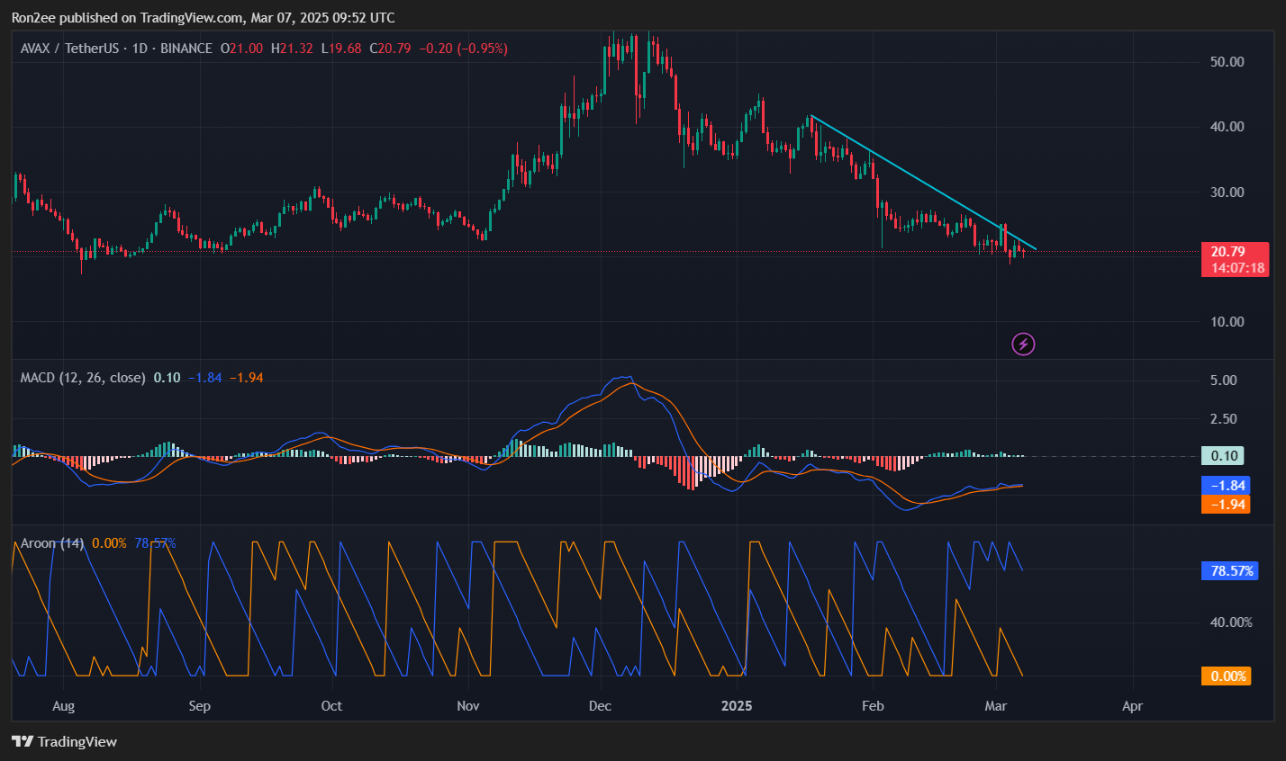 AVAX tests key support zone, is a rebound on the horizon? - 1