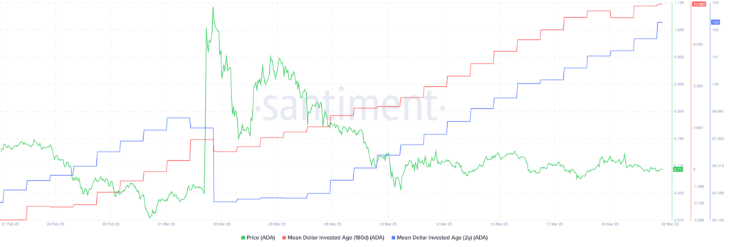 Cardano price flashes bullish signal as MDIA indicator soars