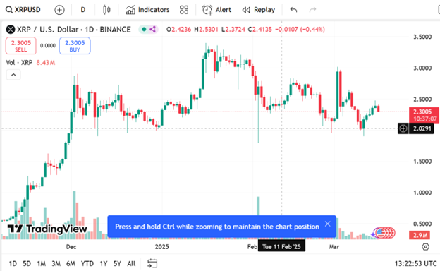 Can 2025 be a year XRP explodes? Remitik could steal the reflector unexpectedly - 1