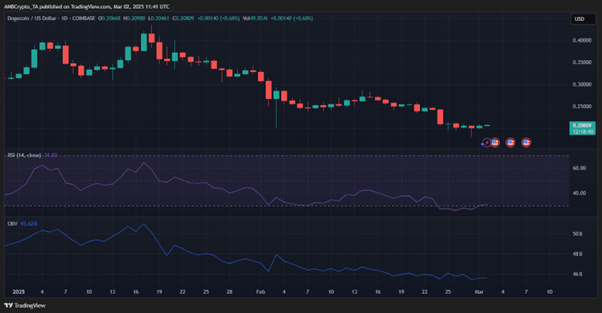 High networth investors accumulate DOGE and new viral altcoin  - 2