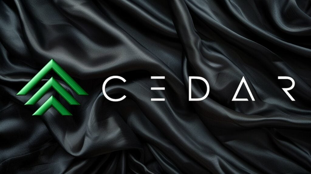 Is Cedar about to replace memecoin mania on Solana? - 1