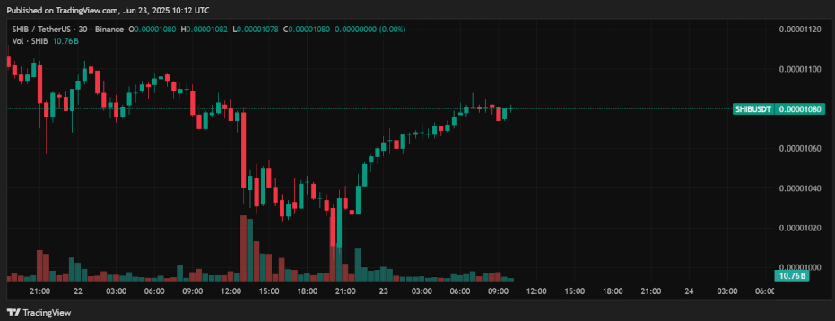 Shiba Inu whales buy 1.3t SHIB in 24 hrs; is a 194% rally to $0.000033 coming next? - 1