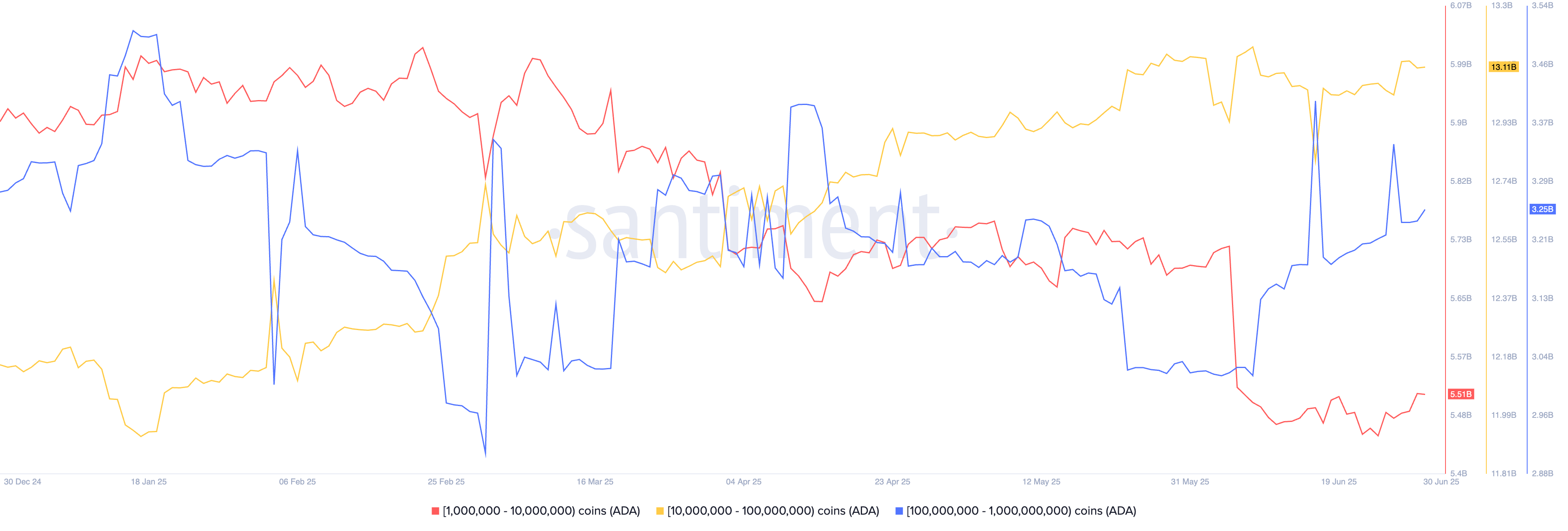 ADA whale transactions
