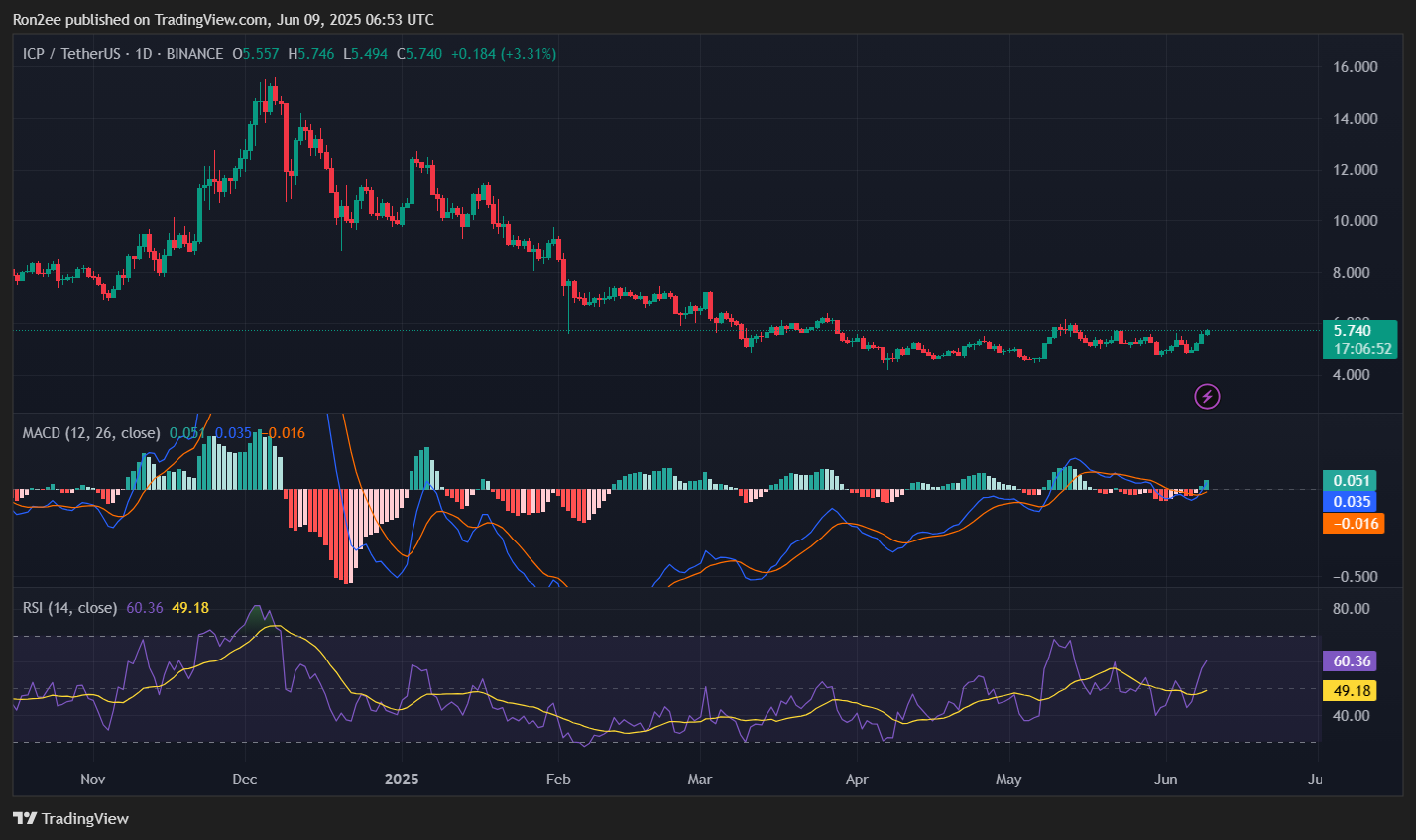 ICP defies crypto downturn with Caffeine-fueled rally and whale accumulation - 3