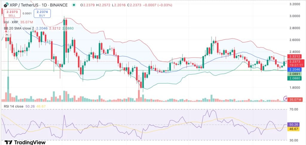 XRP Ledger activity rises alongside whale accumulation — will XRP price follow? - 1