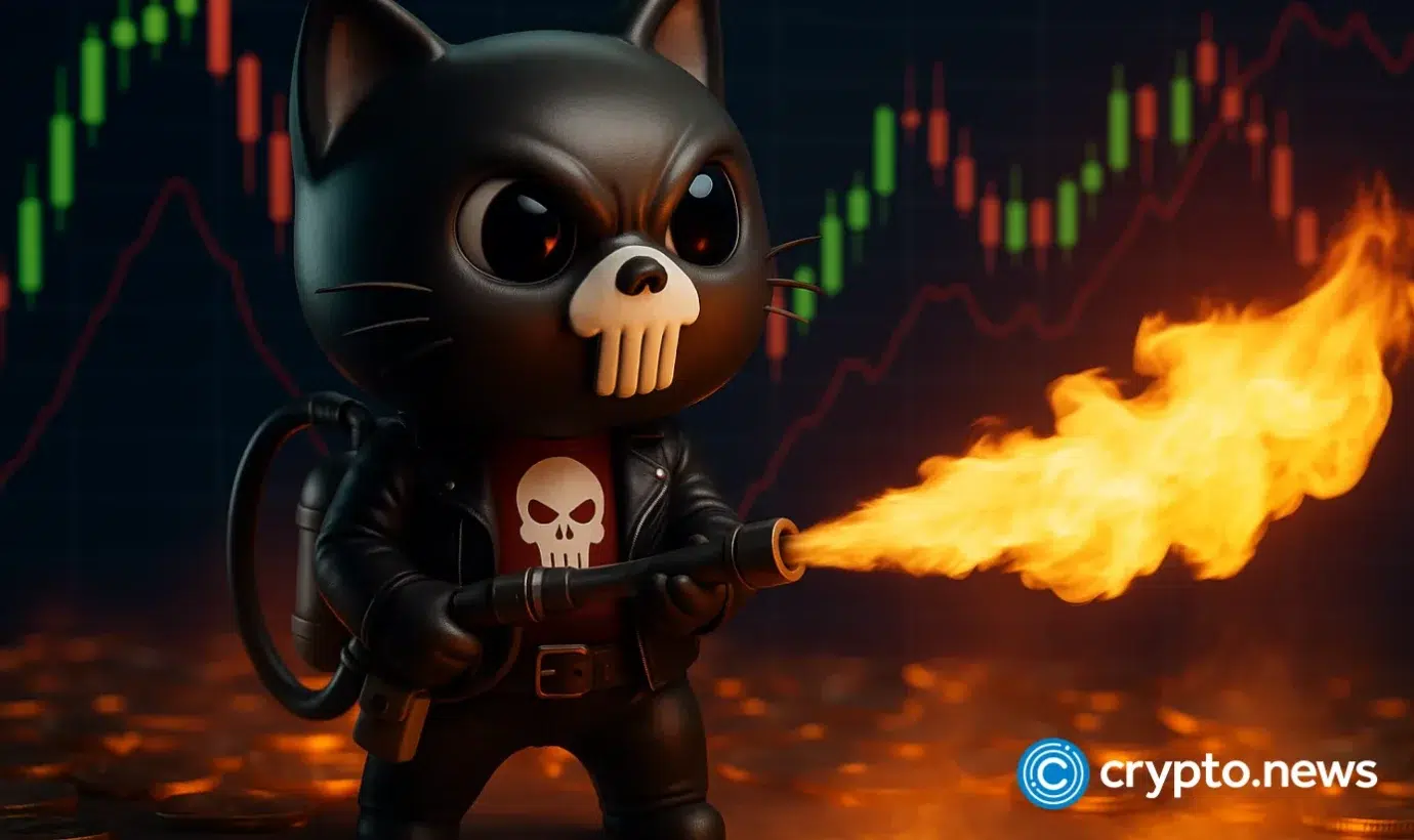 Whale buys 6 ETH worth of Punisher Coin as interest in new project grows