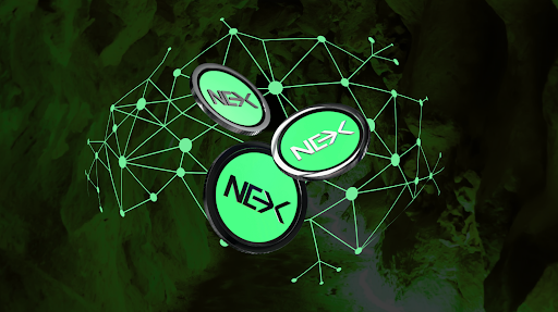As whales exit volatile assets, Nexchain presale sees spike in capital inflow - 1