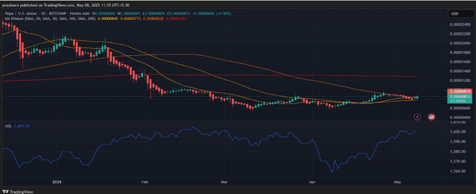 The 3 memecoins crypto whales are eyeing: Pepeto, PEPE, DOGE - 1
