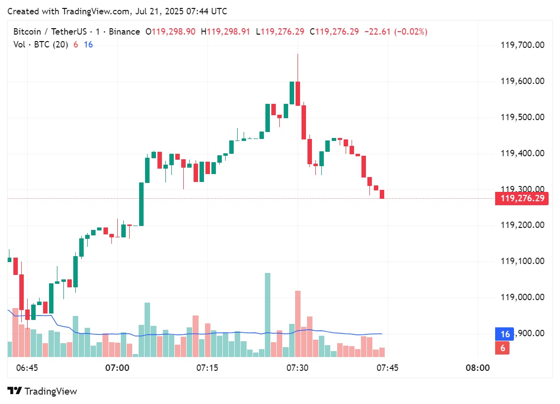 Price chart for Bitcoin in the past few hours of trading, July 21, 2025 | Source: crypto.news