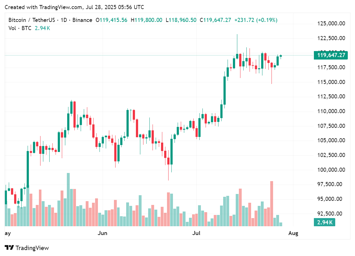 crypto.news