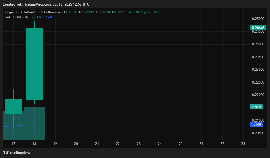Dogecoin price prediction in July 2025 - DOGE about to lead the meme rally soon? - 1