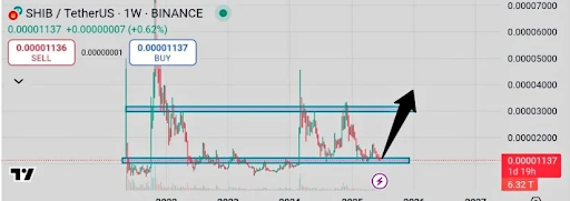 This Shiba Inu alternative readies to outperform SHIB, make millionaires in 2025 - 1