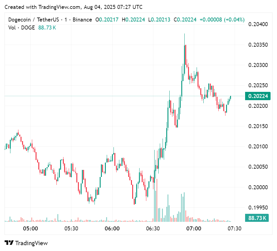 What Elon's purchase of Vine may mean for his social media and crypto empire - 1